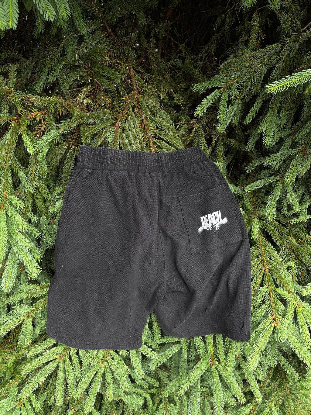 Reach shorts
