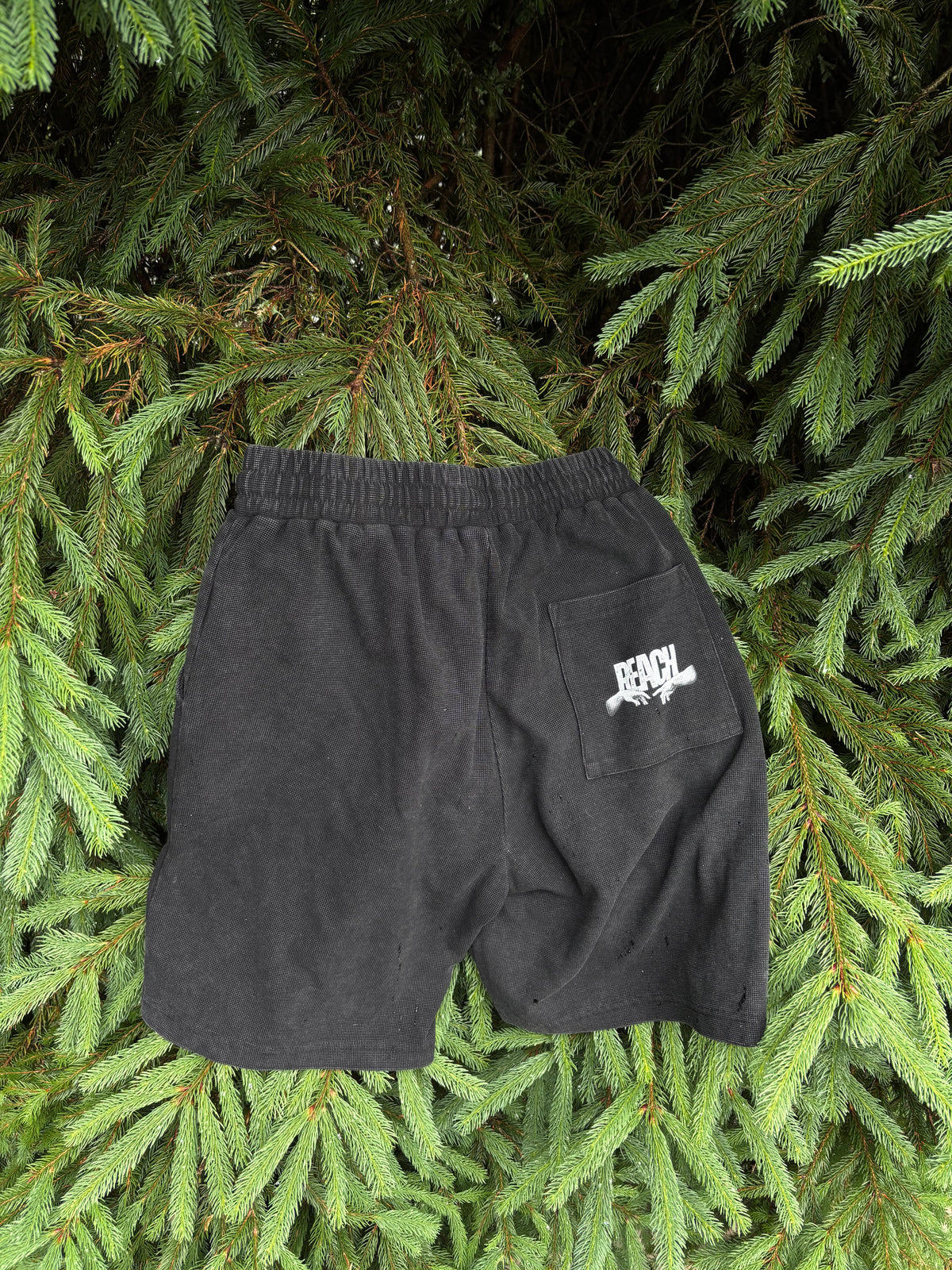 Reach shorts