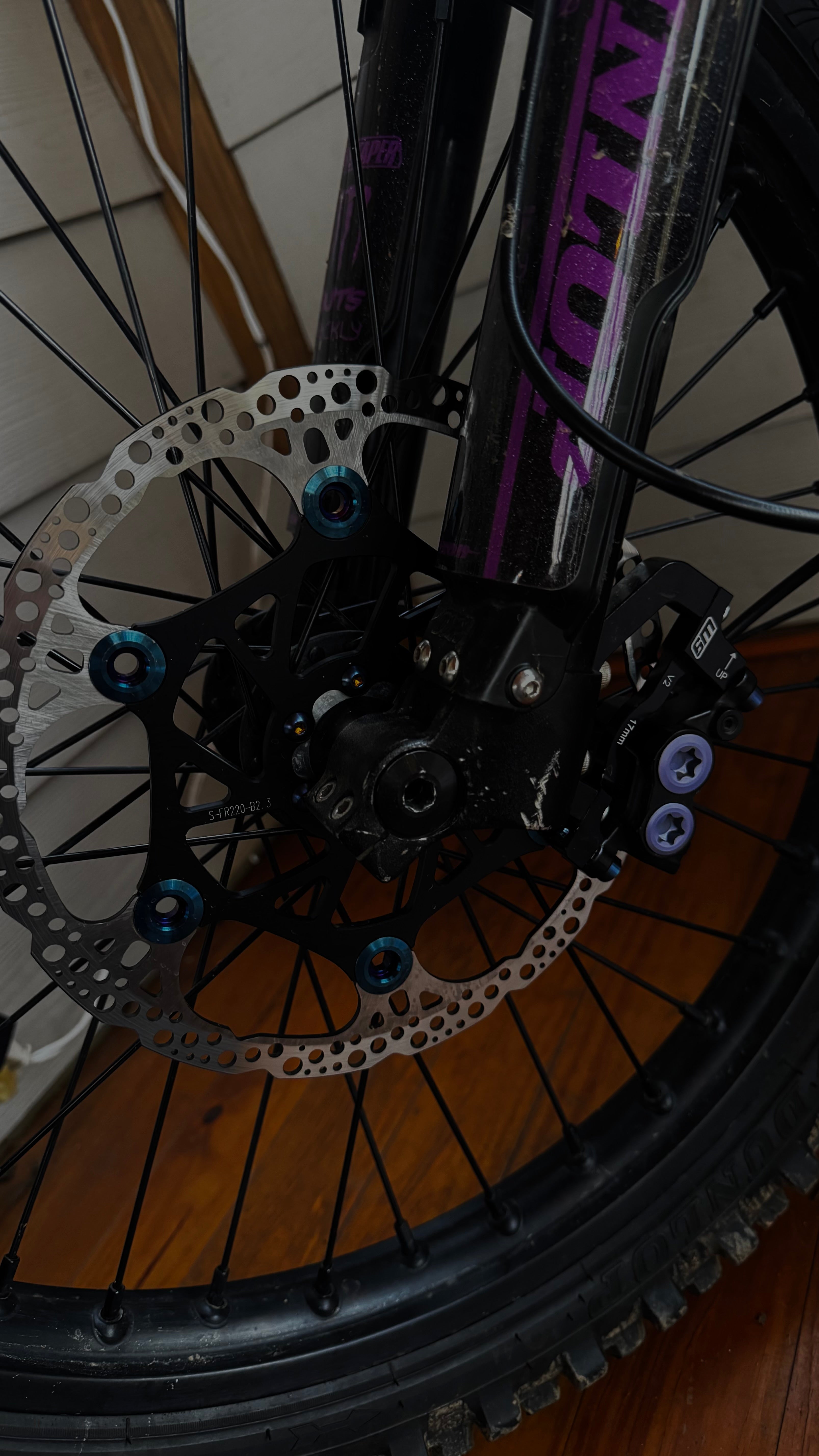 Titanium front rotor bolts